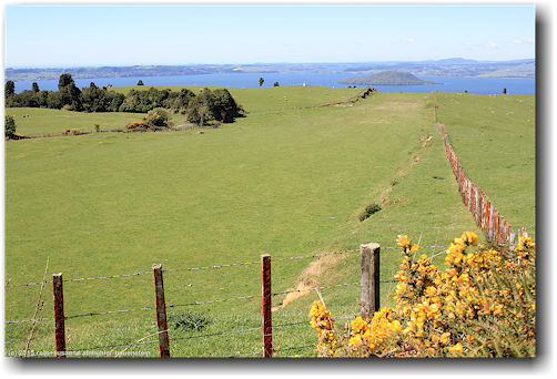 ehemalige graspiste fr flugzeuge beim mount ngongotaha scenic reserve bei rotorua