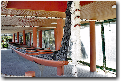 traditionelles maori-boot im te puia in rotorua