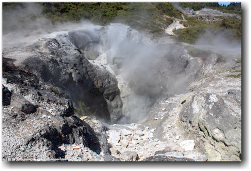 dampfloch im te puia in rotorua