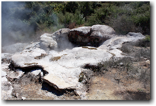 dampfloch im te puia in rotorua