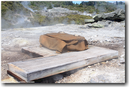 kochen mit erdwaerme im te puia in rotorua
