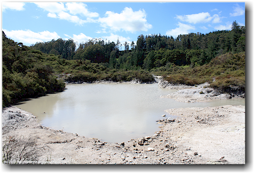 lake waikaukau im te puia in rotorua