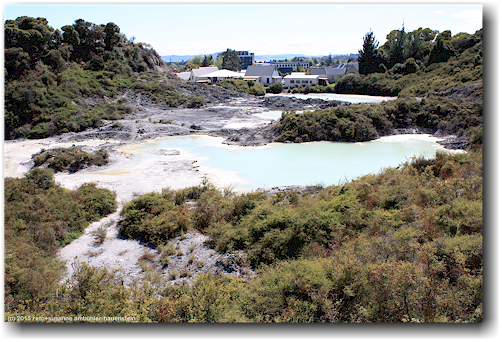besucherzentrum des te puia in rotorua