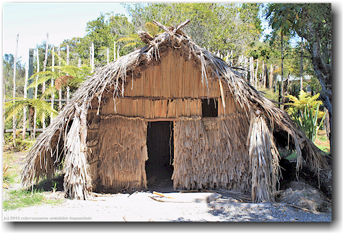 traditionelle maori-huette im te puia in rotorua