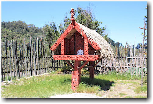 traditioneller maori-speicher im te puia in rotorua