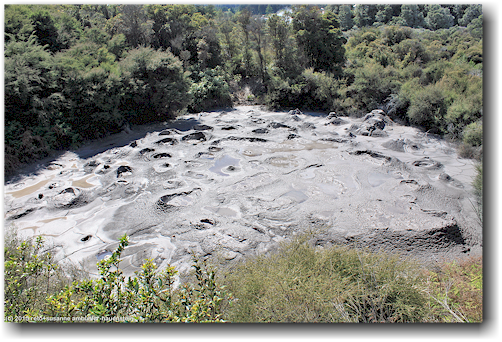 schlammloch nga mokai a koko im te puia in rotorua