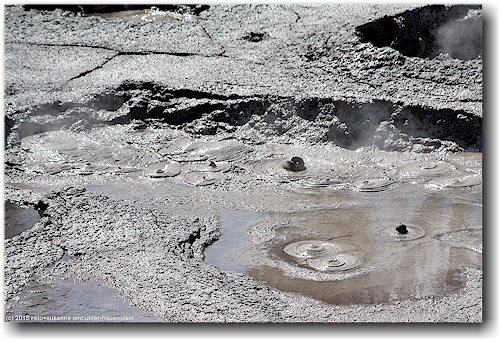 schlammblasen im nga mokai a koko im te puia in rotorua