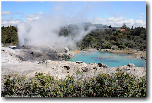 pohutu geyser mit see im te puia in rotorua