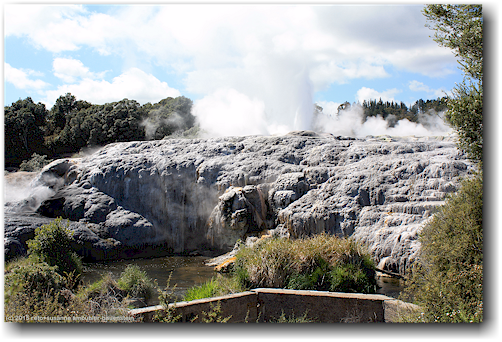 pohutu geyser im te puia in rotorua
