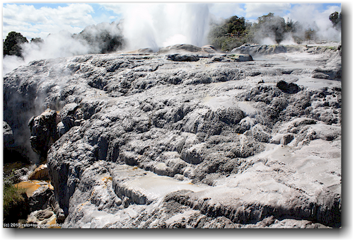 pohutu geyser im te puia in rotorua
