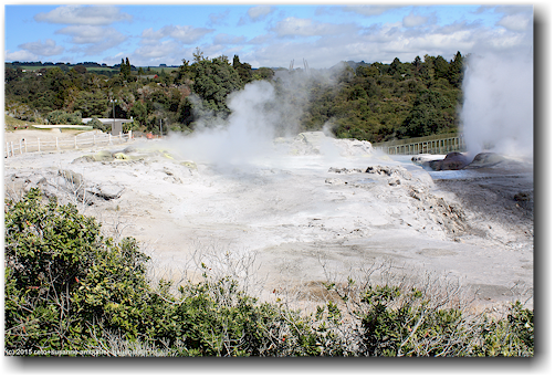 te whakarewarewa thermal valley im te puia in rotorua