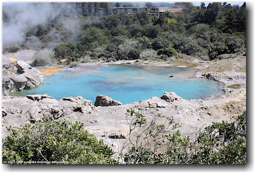 see am fuss des pohutu geyser im te puia in rotorua