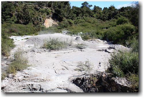dampfendes schlammloch im te puia in rotorua