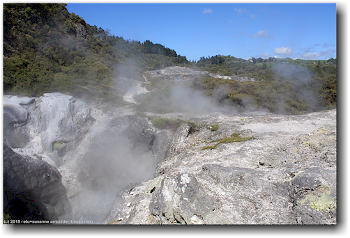 te whakarewarewa thermal valley im te puia in rotorua