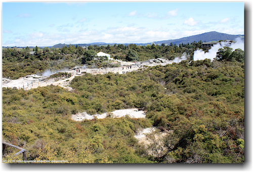 te whakarewarewa thermal valley in rotorua