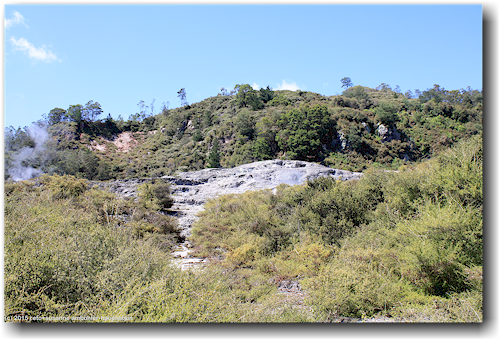 te whakarewarewa thermal valley in rotorua