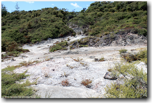 te whakarewarewa thermal valley in rotorua