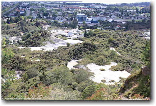 blick vom whakarewarewa forest park auf te puia bei rotorua