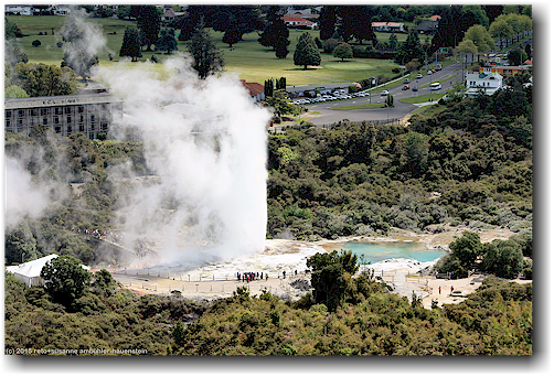 blick vom whakarewarewa forest park auf den pohutu geyser im te puia bei rotorua