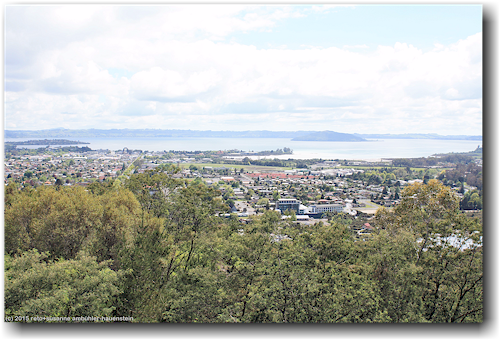 blick vom whakarewarewa forest park auf rotorua und lake rotorua