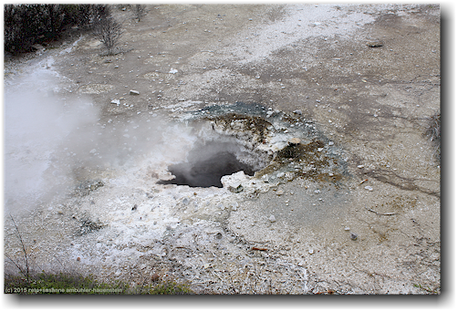 dampfendes loch im whakarewarewa village in rotorua
