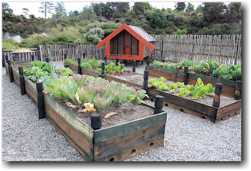 gemuesegarten mit bodenheizung im whakarewarewa village in rotorua