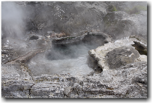 dampfende, heisse quelle im whakarewarewa village in rotorua