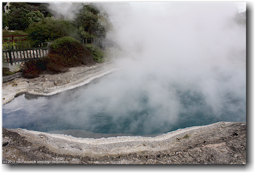 dampfende, heisse quelle im whakarewarewa village in rotorua