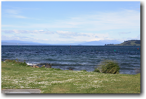 am ufer des lake taupo