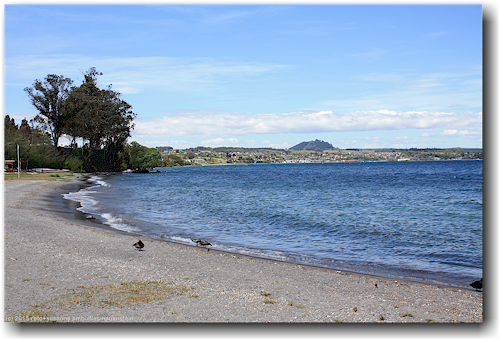 ufer des lake taupo