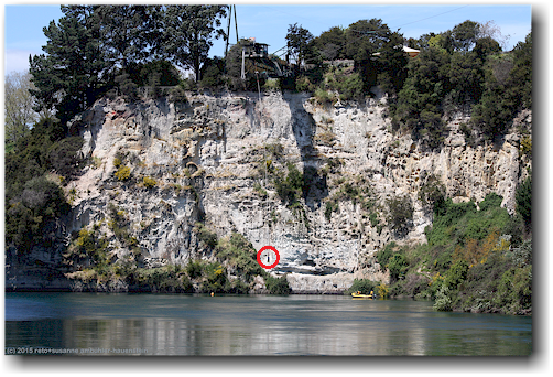 bungee springer ueber dem waikato river bei taupo