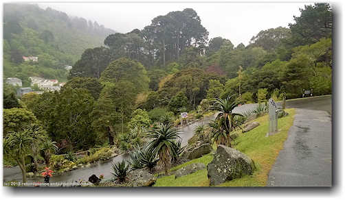 wellington botanical garden