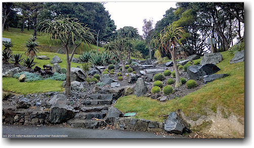 steingarten mit palmen im wellington botanical garden