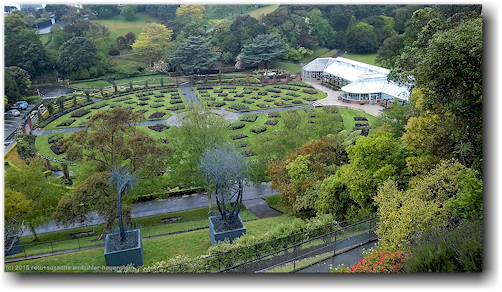 rosengarten im wellington botanical garden