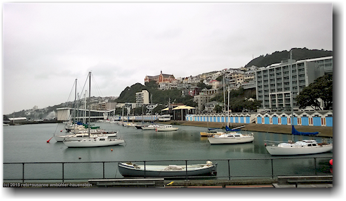 catholic church (katholische kirche) in wellington