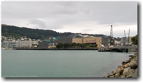 te papa museum of new zealand in wellington