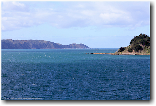 wainuiomata coast ausgangs wellington harbour