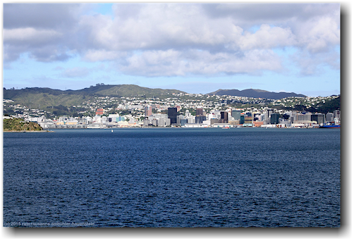 blick von der faehre auf das stadtzentrum und wellington harbour