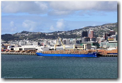 blick von der faehre auf den hafen von wellington
