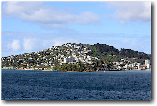 blick von der faehre auf den makara peak bei wellington