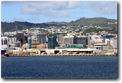 blick von der faehre auf das stadtzentrum und wellington harbour