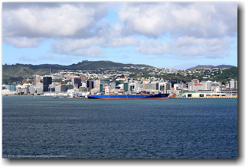 blick von der faehre auf das stadtzentrum und wellington harbour