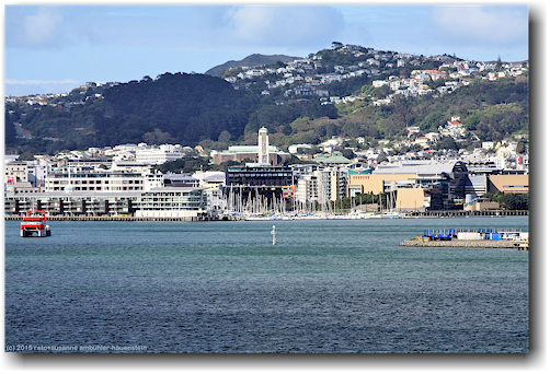 blick von der faehre auf das te papa museum von wellington