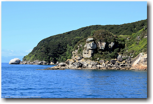 abel head im abel tasman national park