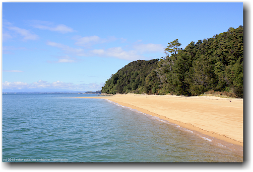 apple tree bay im abel tasman national park
