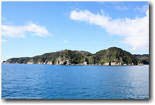 awaroa head im abel tasman national park
