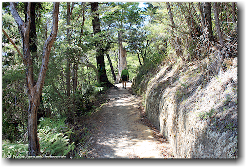 coast track im abel tasman national park