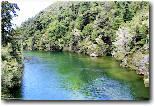 falls river im abel tasman national park