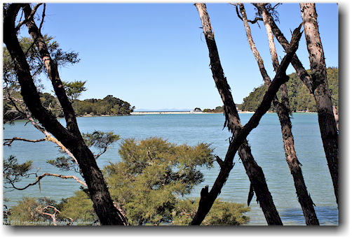 bucht in der torrent bay im abel tasman national park