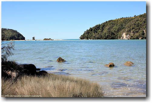 bucht in der torrent bay im abel tasman national park